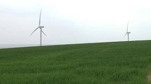 Windmills on Ærø Video stock 80958796