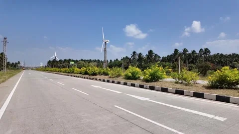 Windmills Along with Flowers Stock Footage 263329398