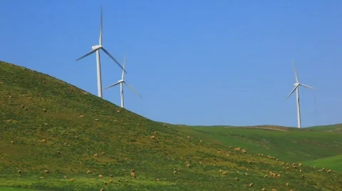 Windmills and sheep.mpg Stockbeeldmateriaal 865860