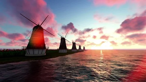 Windmills and tulips on sunset Stock Footage 79256669
