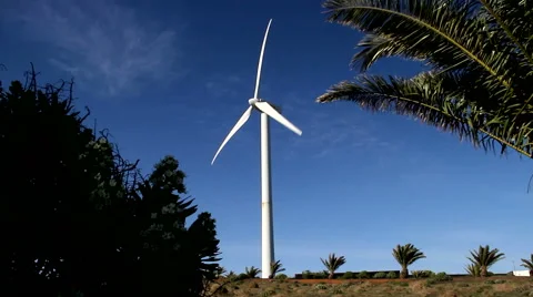 Windmills between palms Stock Footage 51987817