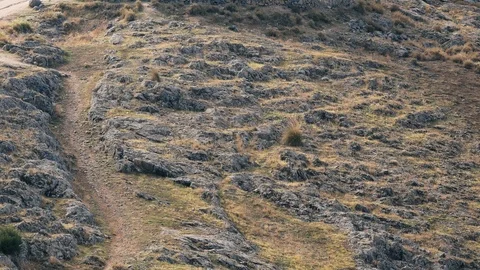 The windmills of Consuegra, Spain Stock Footage 123385077