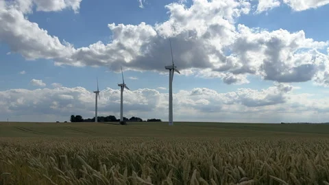 Windmills in danish wheat field Stock Footage 201412443