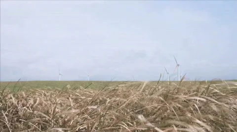 Windmills in the distance Video stock 792619