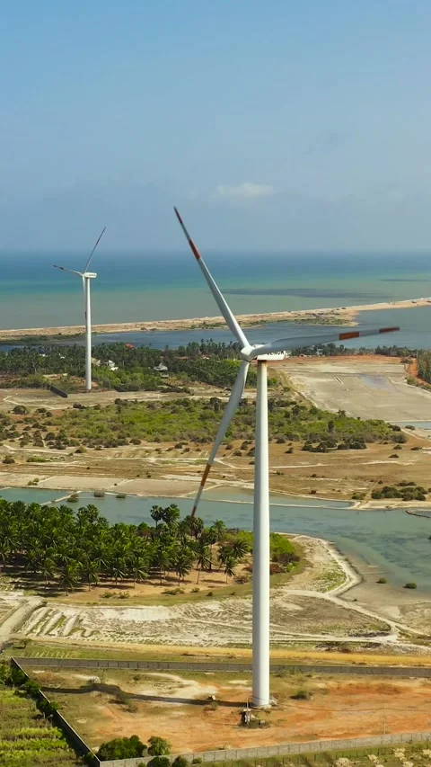 Windmills farm in Sri Lanka. Stock Footage 346463236