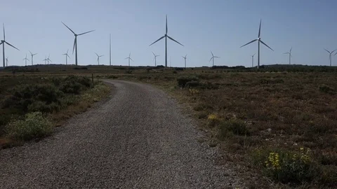 Windmills in the field Stock Footage 77032002