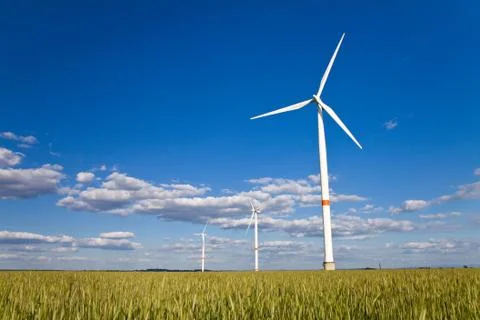 Windmills in a field Stock Photos