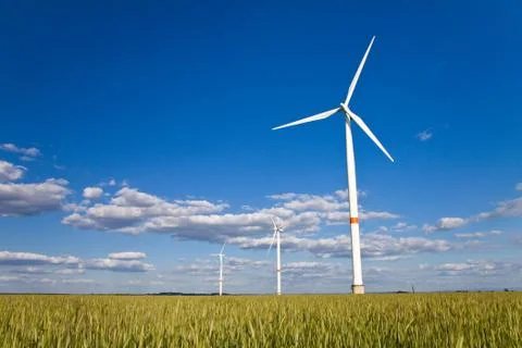 Windmills in a field Stock Photos