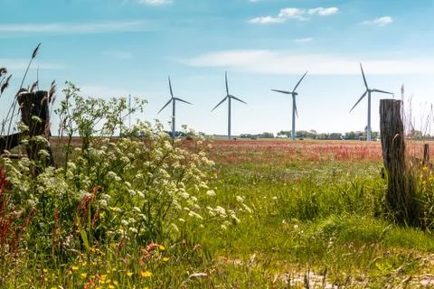 Windmills in the field Stock Photos