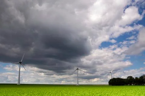 Windmills in a field Stock Photos
