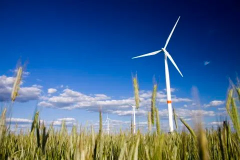 Windmills in a field of rye Stock Photos