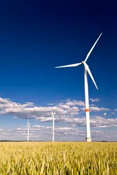 Windmills in a field of rye Stock Photos