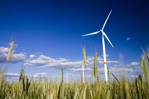 Windmills in a field of rye Stock Photos