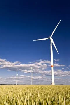 Windmills in a field of rye Stock Photos