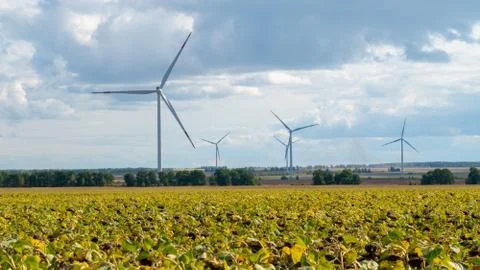 Windmills in the fields in summer Stock Photos