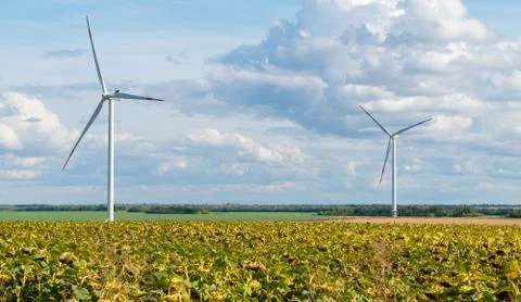 Windmills in the fields in summer Foto stock