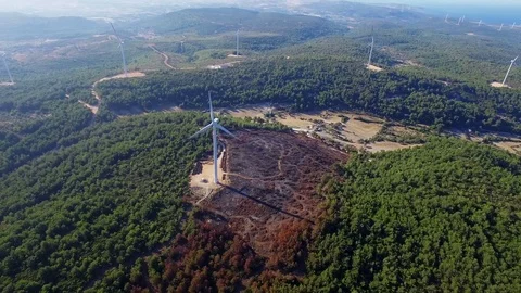 Windmills Stock Footage 79630932