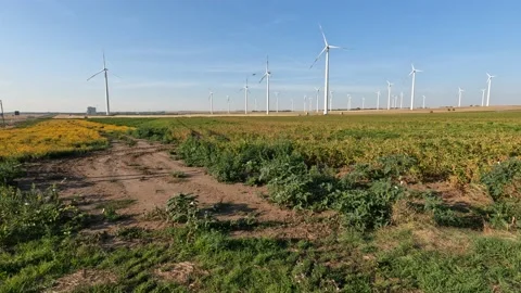 Windmills Stock Footage 237961374