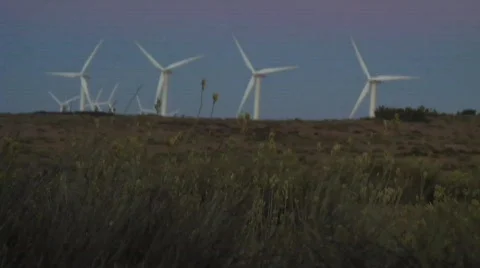 Windmills half Video stock 792350