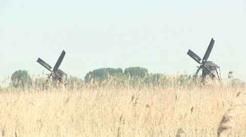 Windmills of Holland Stock Footage 24638542