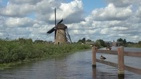 Windmills in Kinderdijk in Holland Stock Footage 98668436