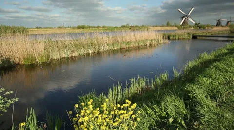 Windmills in Kinderdijk, the Netherlands Stock Footage 39293237