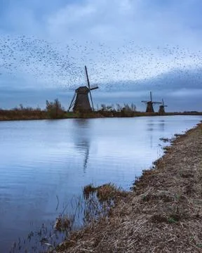 Windmills Kinderdijk Netherlands Stock Photos