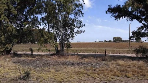 Windmills lanscape Stock Footage 140472889