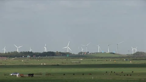 Windmills on a low horizon Stock Footage 5700908