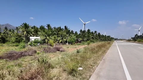 Windmills Near the Coconut Trees Video stock 263328267