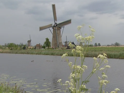 Windmills in the Netherlands -1 Stock Footage 112414333