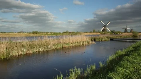 Windmills in the Netherlands Stock Footage 142496724