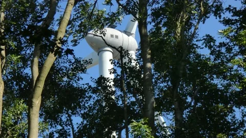 Windmills in the Netherlands Stock Footage 164142477