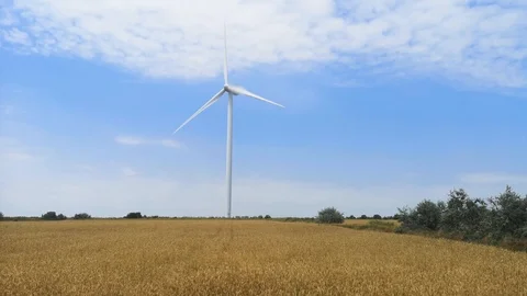 Windmills on one of the wheat fields of Ukraine. Energy saving concept Stock Footage 112163841