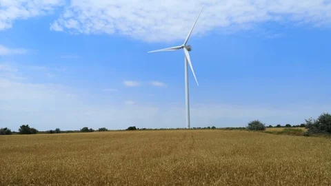 Windmills on one of the wheat fields of Ukraine. Energy saving concept Stock Footage 112163896