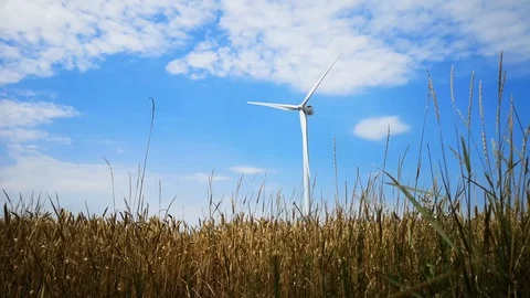 Windmills on one of the wheat fields of Ukraine. Energy saving concept Video stock 112164126