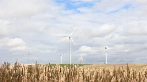 Windmills in Poland. Stock Footage 124670367