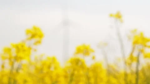 Windmills rotating during windy spring cloudy day on yellow field Stock Footage 62497255