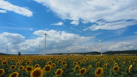 Windmills rotating during windy summer cloudy day Stock Footage 79280500