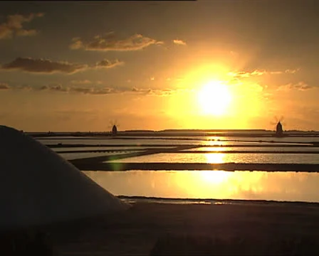 WINDMILLS at sunset Video stock 24718427