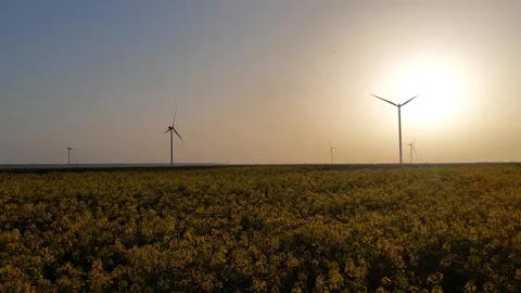 Windmills Sunset Video stock 307236309