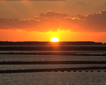 WINDMILLS at sunset zoom in 2 Video stock 24718393