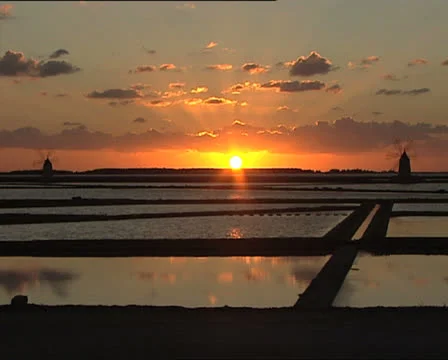 WINDMILLS at sunset zoom in Video stock 24718922