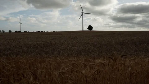 Windmills in a wheat field, cloudy sky. Stock Footage 92080582
