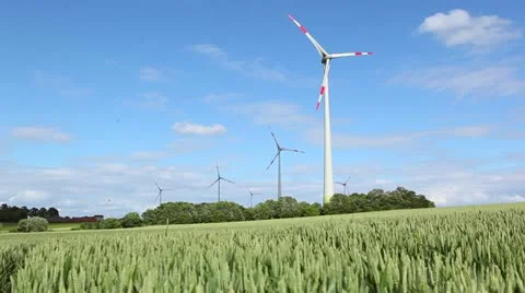 Windmills in a wheat field Stock Footage 11145717