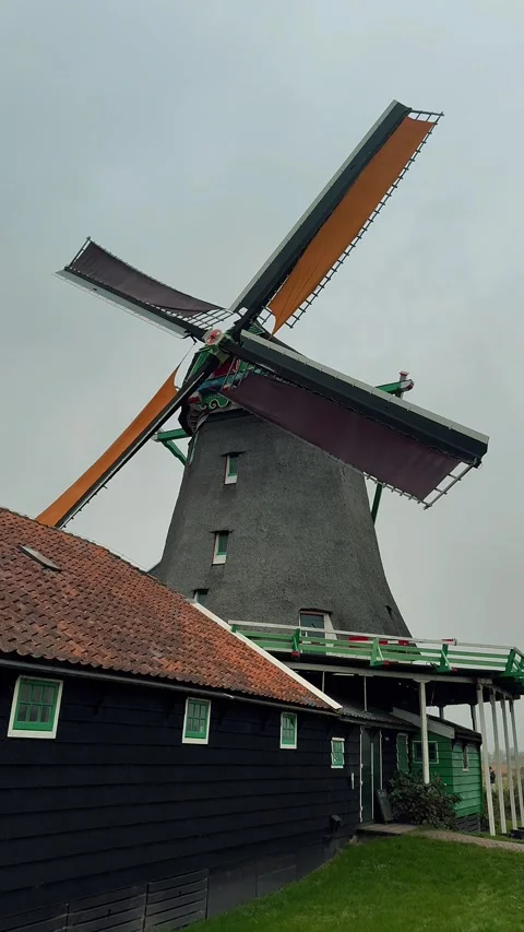 Windmills in Zaanse Schans 26 Video stock 323523968