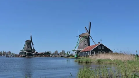 Windmills on the Zaanse Schans Video stock 132533860