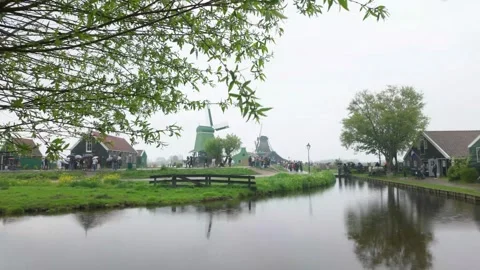 Windmills of Zaanse Schanse Video stock 313151408