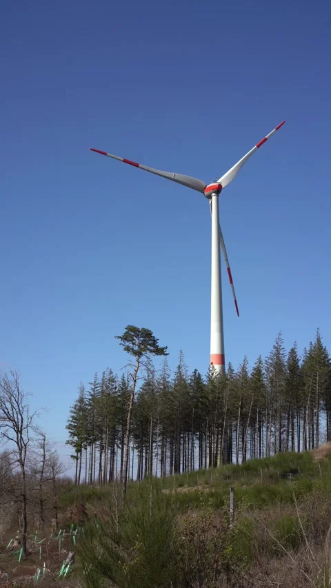 Windmills14 Stock Footage 305418890