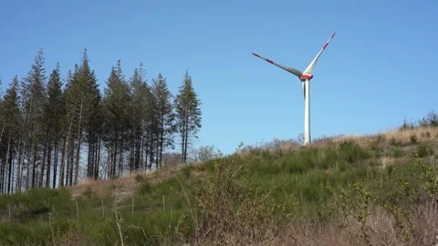 Windmills3 Stock Footage 305442444